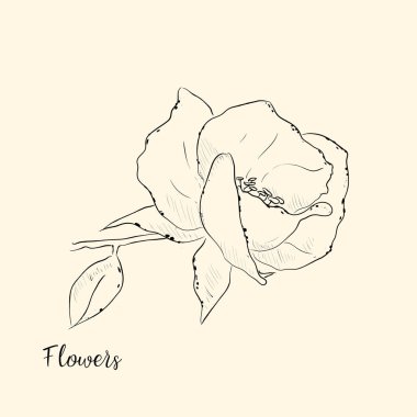  El çiçek çizmek. Vektör çizim. Kroki.
