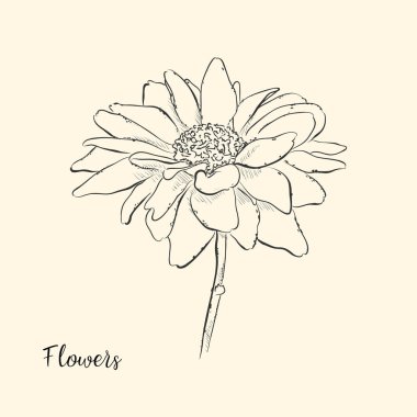  El çiçek çizmek. Vektör çizim. Kroki.