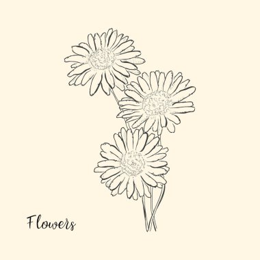  El çiçek çizmek. Vektör çizim. Kroki.