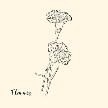  El çiçek çizmek. Vektör çizim. Kroki.