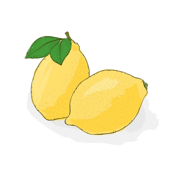 Amarelo, azedo, limão suculento. Vida-morta de fruta. Vec desenhado à mão — Vetor de Stock