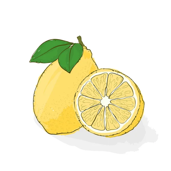 Limone giallo, acido e succoso. Natura morta dalla frutta. Vec disegnato a mano — Vettoriale Stock