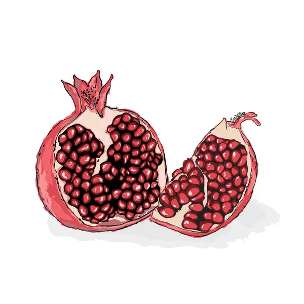 Červené zralé granátové jablko, kousek z granátového jablka. Šťavnaté granátové jablko — Stockový vektor