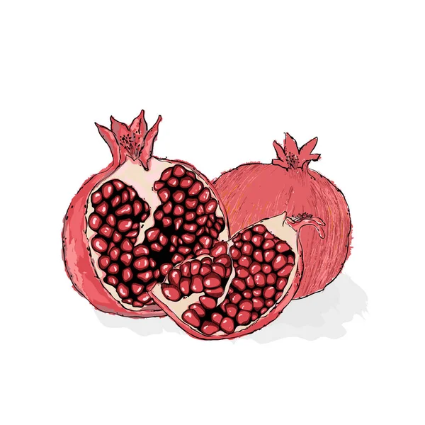 Rode rijpe granaatappel, een stuk van de granaatappel. Sappige granaatappel — Stockvector