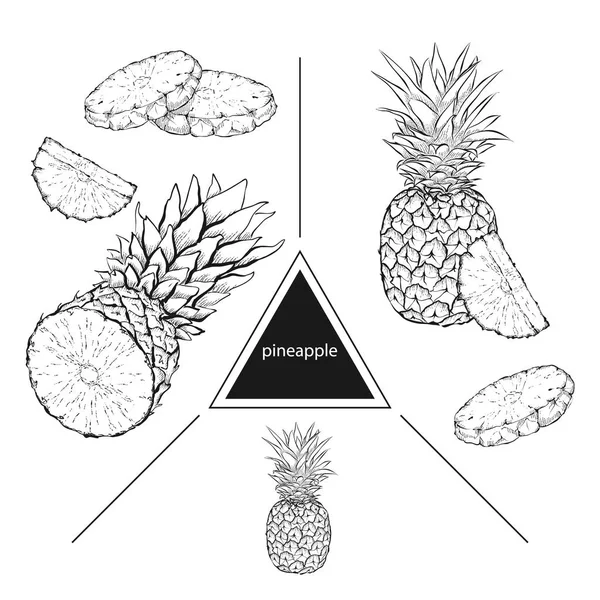 Set of tropical fruits: pineapple, pineapple slices. Vintage sty — Stock Vector
