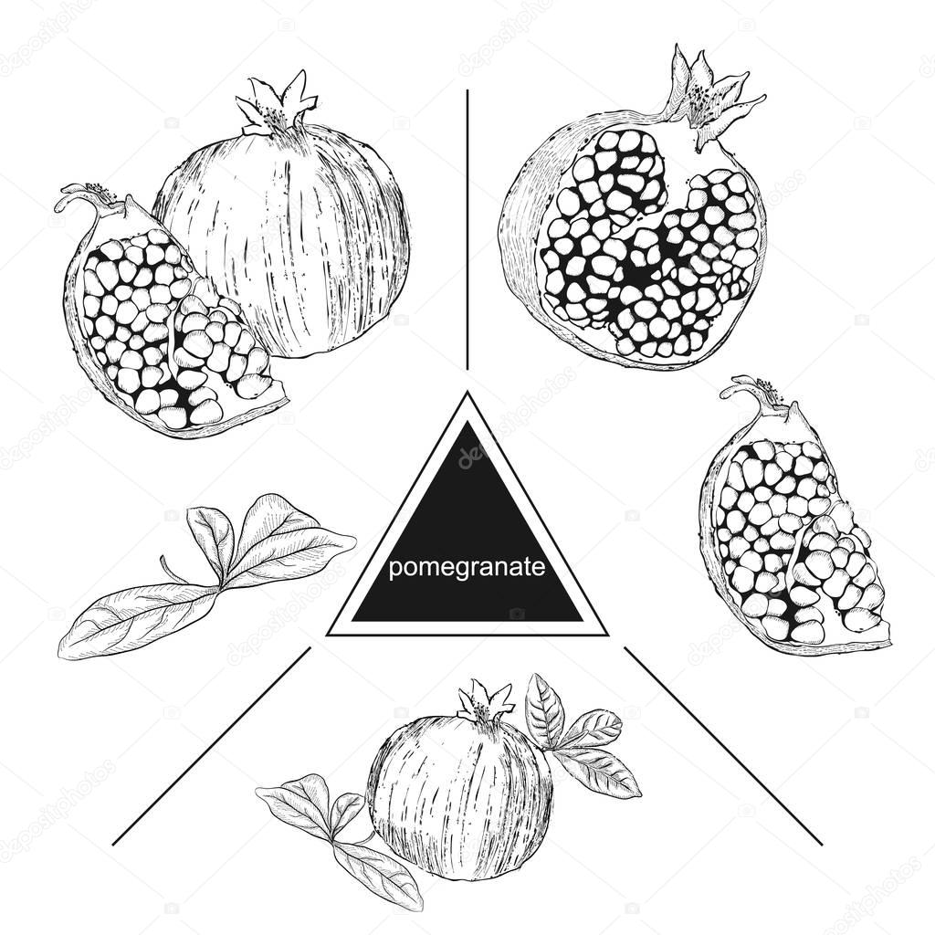 Set of fruits: Pomegranate, a piece of pomegranate and a pomegra