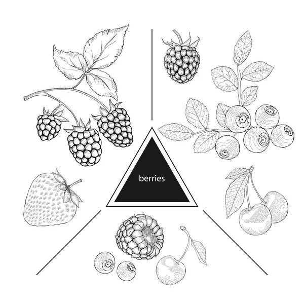 Un conjunto de bayas: arándanos, cerezas, frambuesas y fresas — Archivo Imágenes Vectoriales