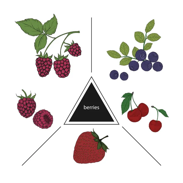 Un conjunto de bayas: arándanos, cerezas, frambuesas y fresas — Archivo Imágenes Vectoriales