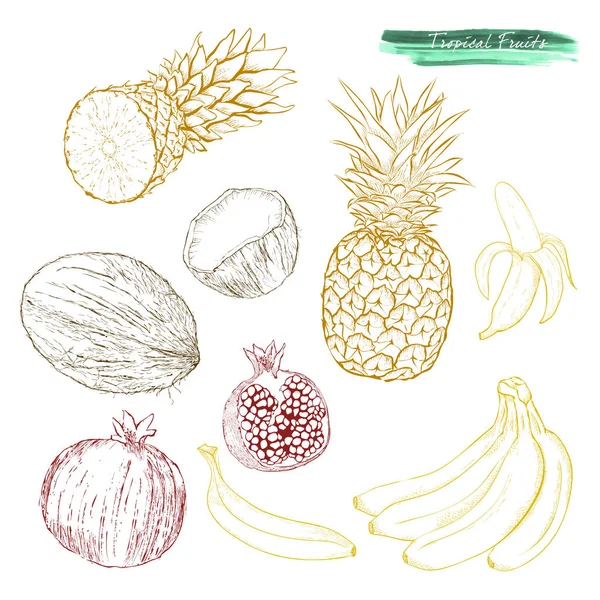 Een set van tropisch fruit: ananas, granaatappels, bananen en — Stockvector