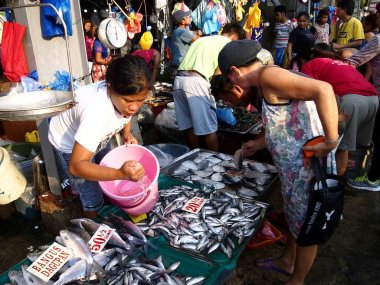 Bir ıslak pazar satıcı genel bir pazarda taze deniz ürünleri çeşitli satıyor.
