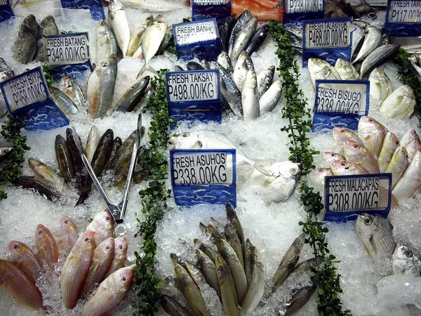 Uma variedade de peixe cru fresco e frutos do mar à venda em um supermercado . — Fotografia de Stock