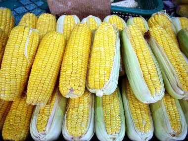 Demet taze çiğ Mısır