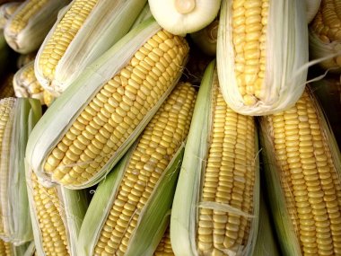 Demet taze çiğ Mısır