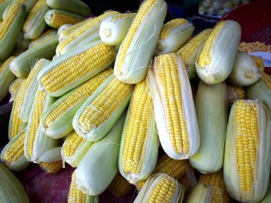 Demet taze çiğ Mısır