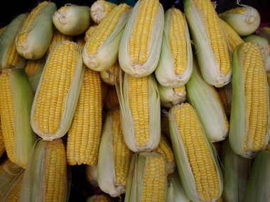 Demet taze çiğ Mısır