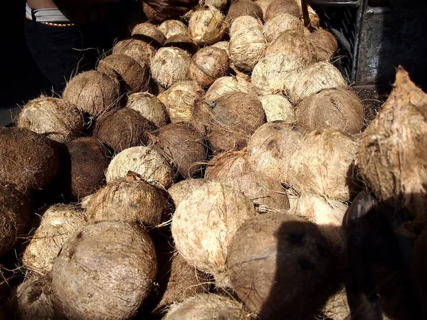 Um monte de cocos à venda em um mercado — Fotografia de Stock