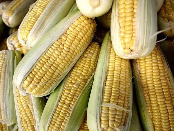 Demet taze çiğ Mısır