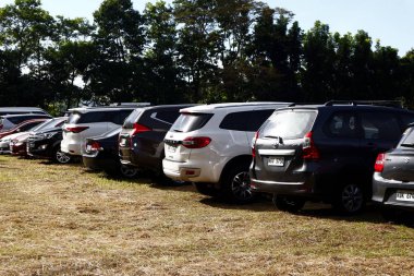 Güneşli bir sabahta çim tarlasına park edilmiş çeşitli özel araçlar.