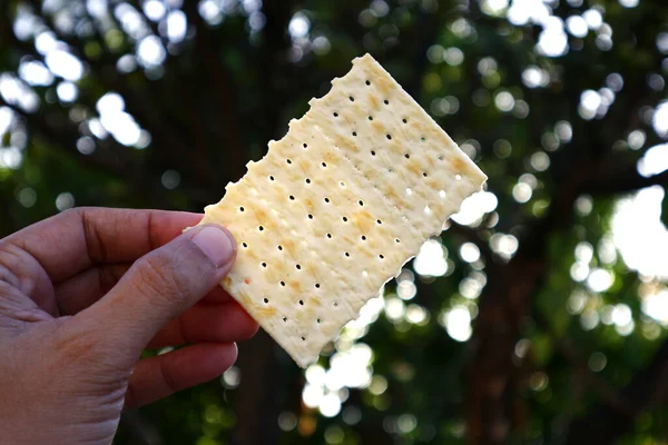 Photo Hand Holding Soda Cracker — Stock Photo, Image