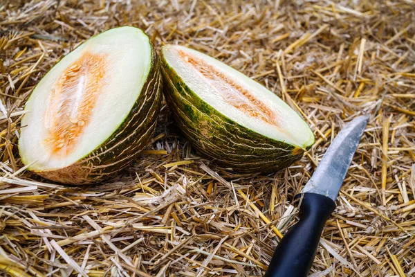 Yarım bir kavun bir saman ve bir bıçak kesim.