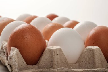 Beyaz ve kahverengi tavuk yumurta karton ambalajlama.