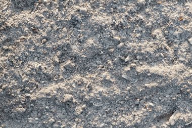 Kusursuz yanmış ahşap kül arkaplanı