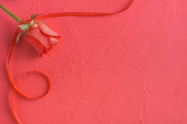 Kırmızı gül ve kurdeleli pembe arkaplan, sevgililer günü konsepti, kopyalama alanı