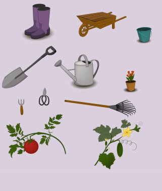 Bahçe aletleri ve sebze
