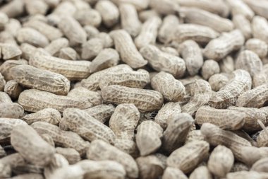 kahverengi ham yer fıstığı