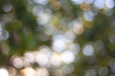 yeşil ve sarı arka plan daire bokeh