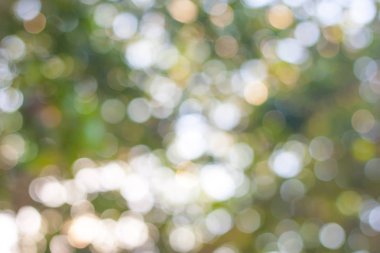 yeşil ve sarı arka plan daire bokeh