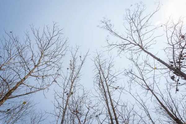 Asya yeşil dağ manzaralı noktası