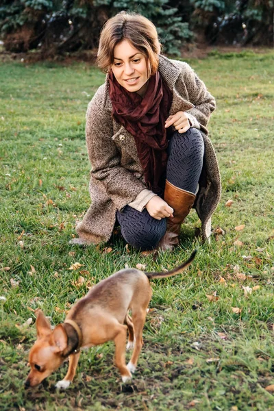 Giovane donna in cappotto giocare con piccolo cane giocattolo Terrier in autunno . — Foto Stock