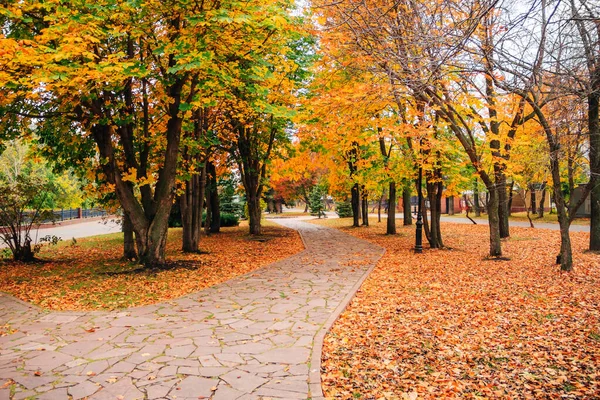 Stezka ve scéně podzimní park příroda — Stock fotografie