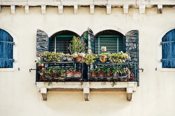 Ablakok kék redőnyökkel és virágokkal a sárga homlokzaton régi házban Velencében — Stock Fotó