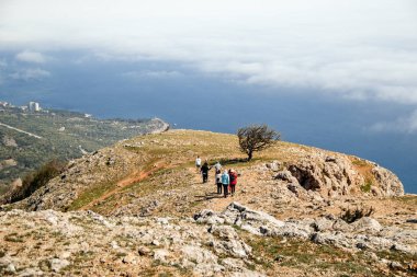 Friends go camping in the mountains. On a hilltop against the backdrop of the sea.