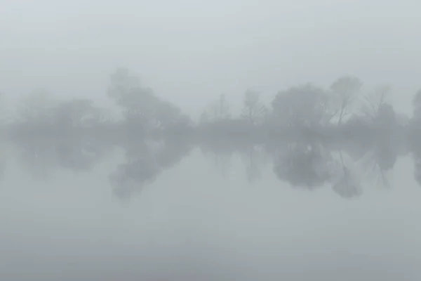 Bäume im Nebel, die sich im Wasser spiegeln — Stockfoto