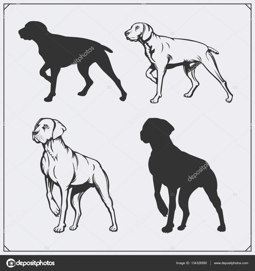 Immagini Disegno Bianco E Nero Cane Siluette Dei Cani Ed