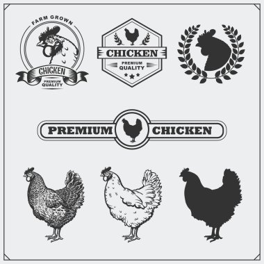 Tavuk eti etiketleri, rozetler, amblem ve tasarım öğeleri koleksiyonu.