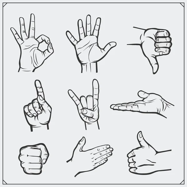 Set of people hands. Different gestures. Vector illustration. — Stock Vector