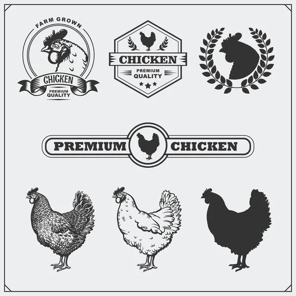 Sammlung von Hühnerfleisch-Etiketten, Abzeichen, Emblemen und Designelementen. — Stockvektor