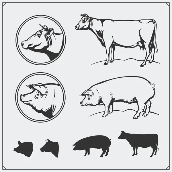 矢量猪肉和牛肉肉标签和设计元素。屠夫的业务标志。猪和牛的剪影. — 图库矢量图片