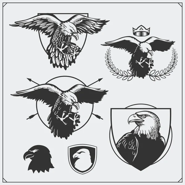 Escudo de armas de águila heráldica. Etiquetas, emblemas y elementos de diseño para club deportivo . — Archivo Imágenes Vectoriales