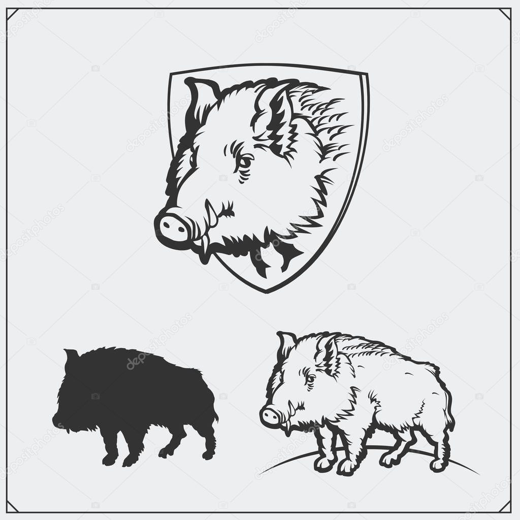 Vector monochrome illustration of a wild boar.