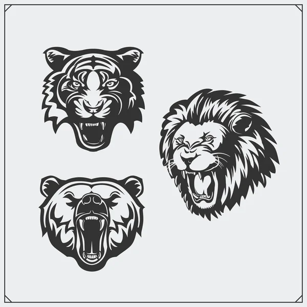 Illustrations of wild animals. Bear, lion and tiger. — Stock Vector