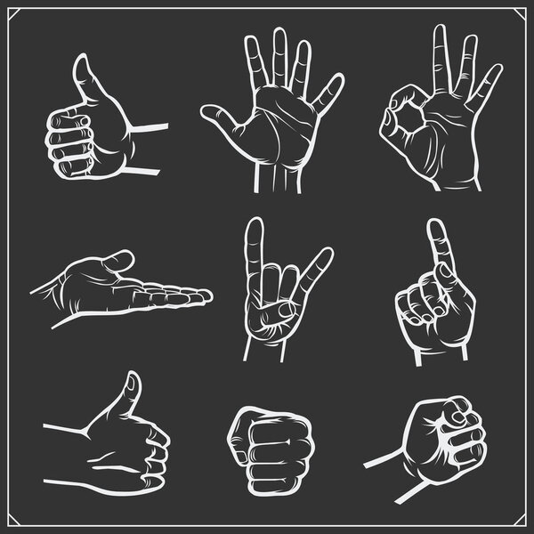 Set of people hands. Different gestures. Vector illustration.