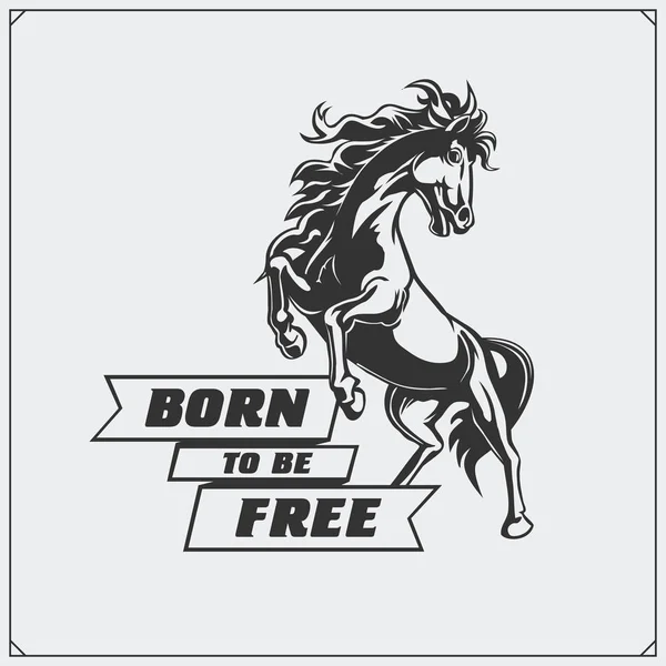 O emblema com cavalo para uma equipe de esporte . —  Vetores de Stock