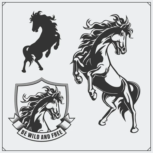 Escudo de armas de caballo heráldico. Etiquetas, emblemas y elementos de diseño para club deportivo . — Archivo Imágenes Vectoriales