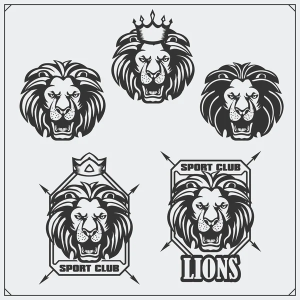 Címkék, matricák és design elemek, lion sport club. — Stock Vector