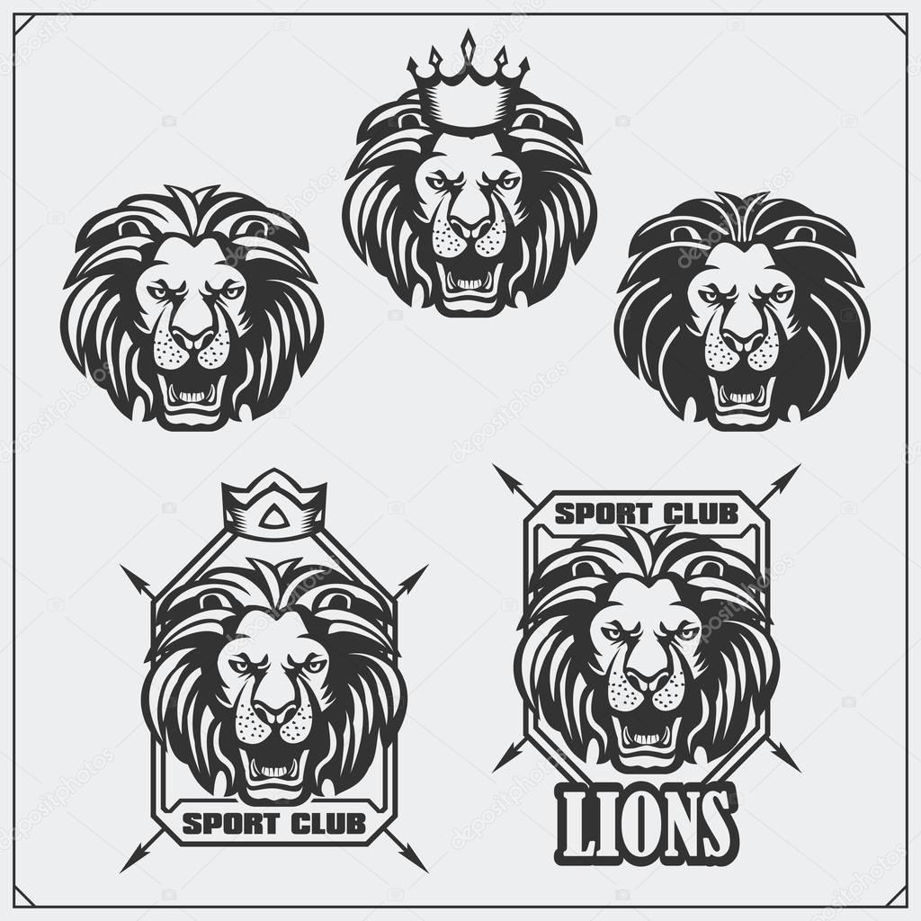 Labels, emblems and design elements for sport club with lion.